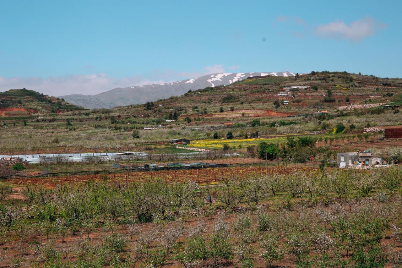 Вилла Grand Golan Buq'ata Экстерьер фото